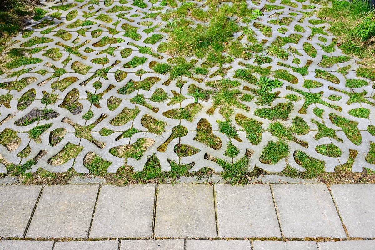 Stichtingrioned 202404 Rk 2 1200Pxhp