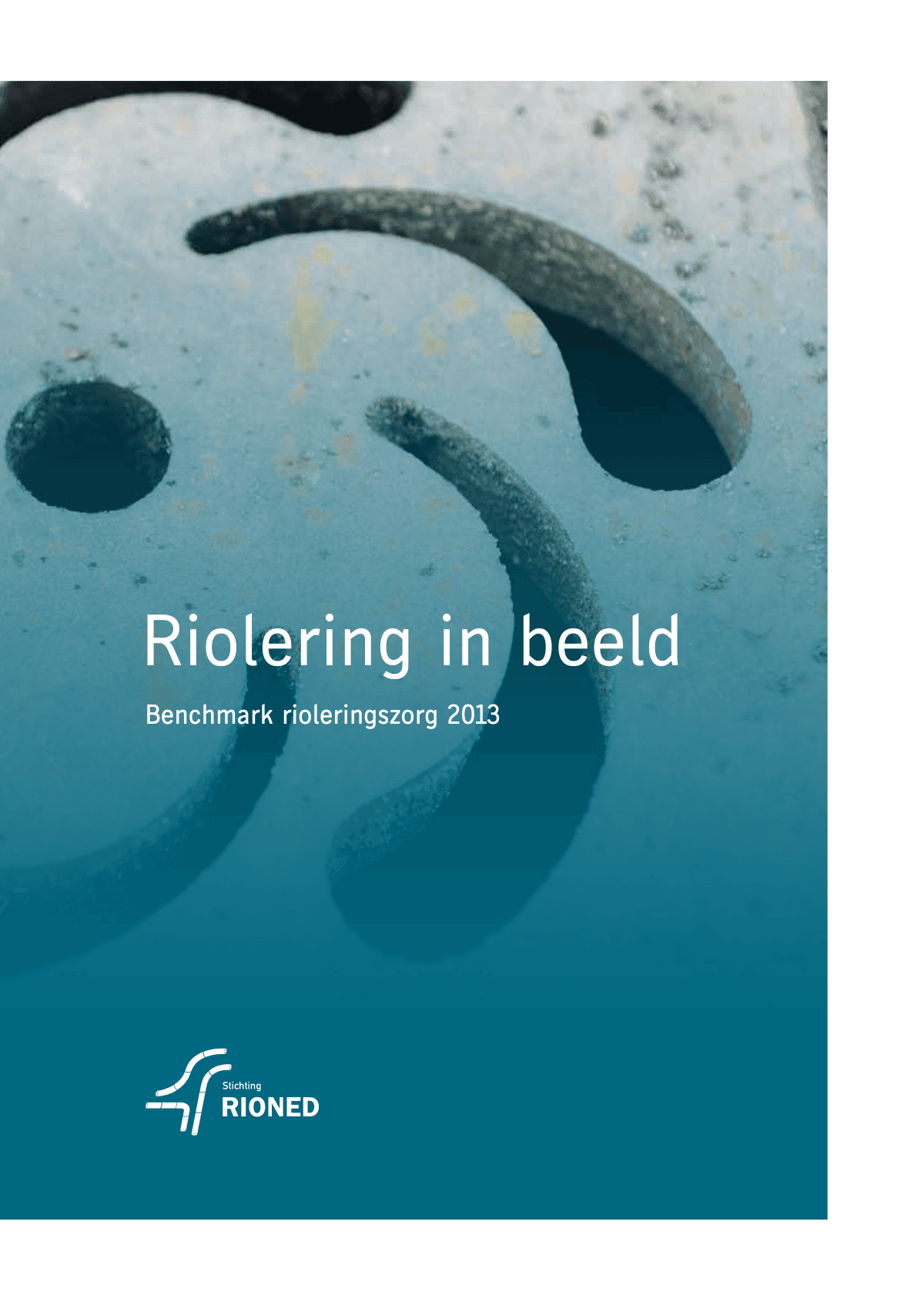 Riolering In Beeld 2013