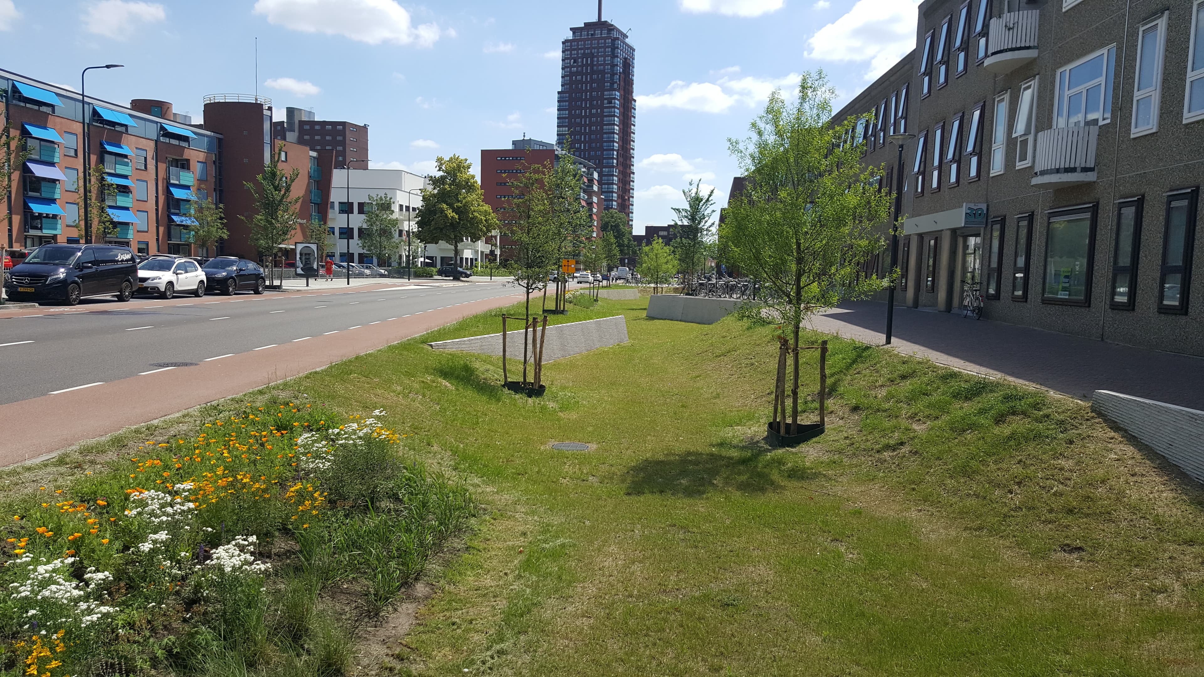 Update Focusprogramma