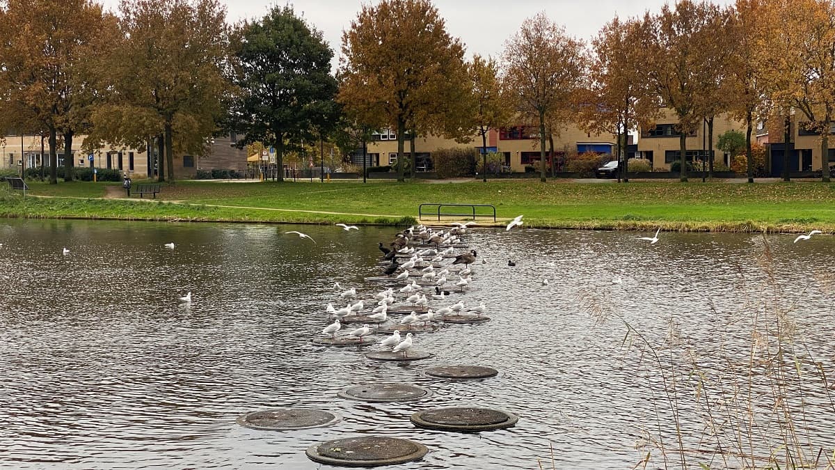 Stichtingrioned Nieuwland Amersfoort Waardevol Water Brengt Rust Voor Mens En Dier Ton Beenen