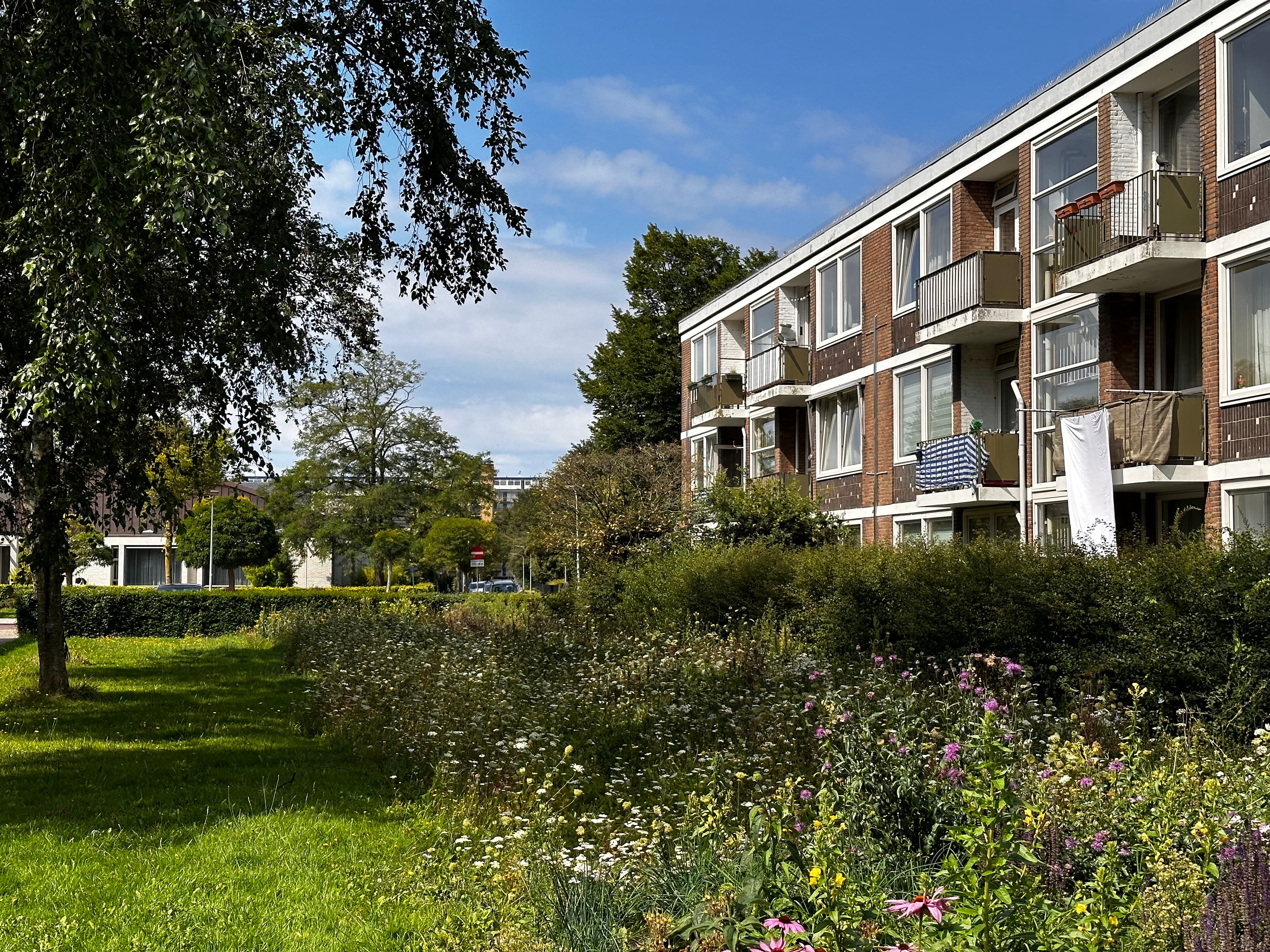 FOTO Tervisie Richtlijnen Infiltratievoorzieningen Foto Elwin Leusink MA