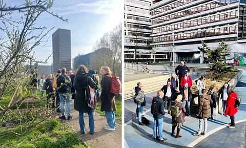 Stichtingrioned Naarbuiten Rotterdam Rdam6 4 480Px