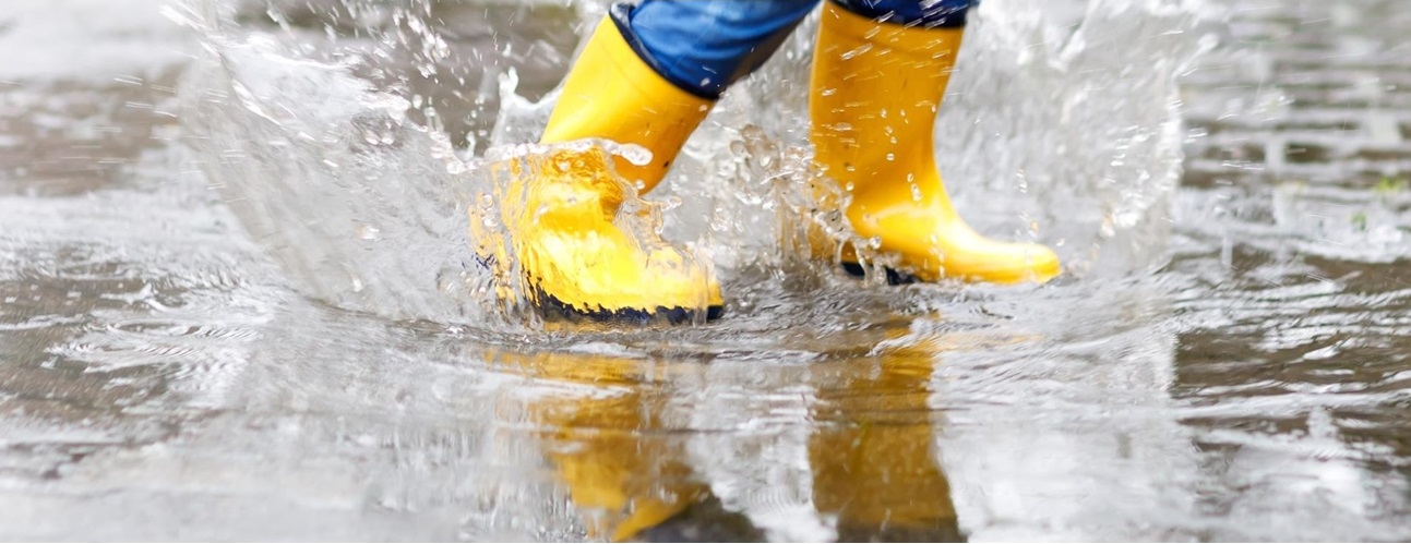 OR Iv Adres Laarsjes 1 Rionedpanel