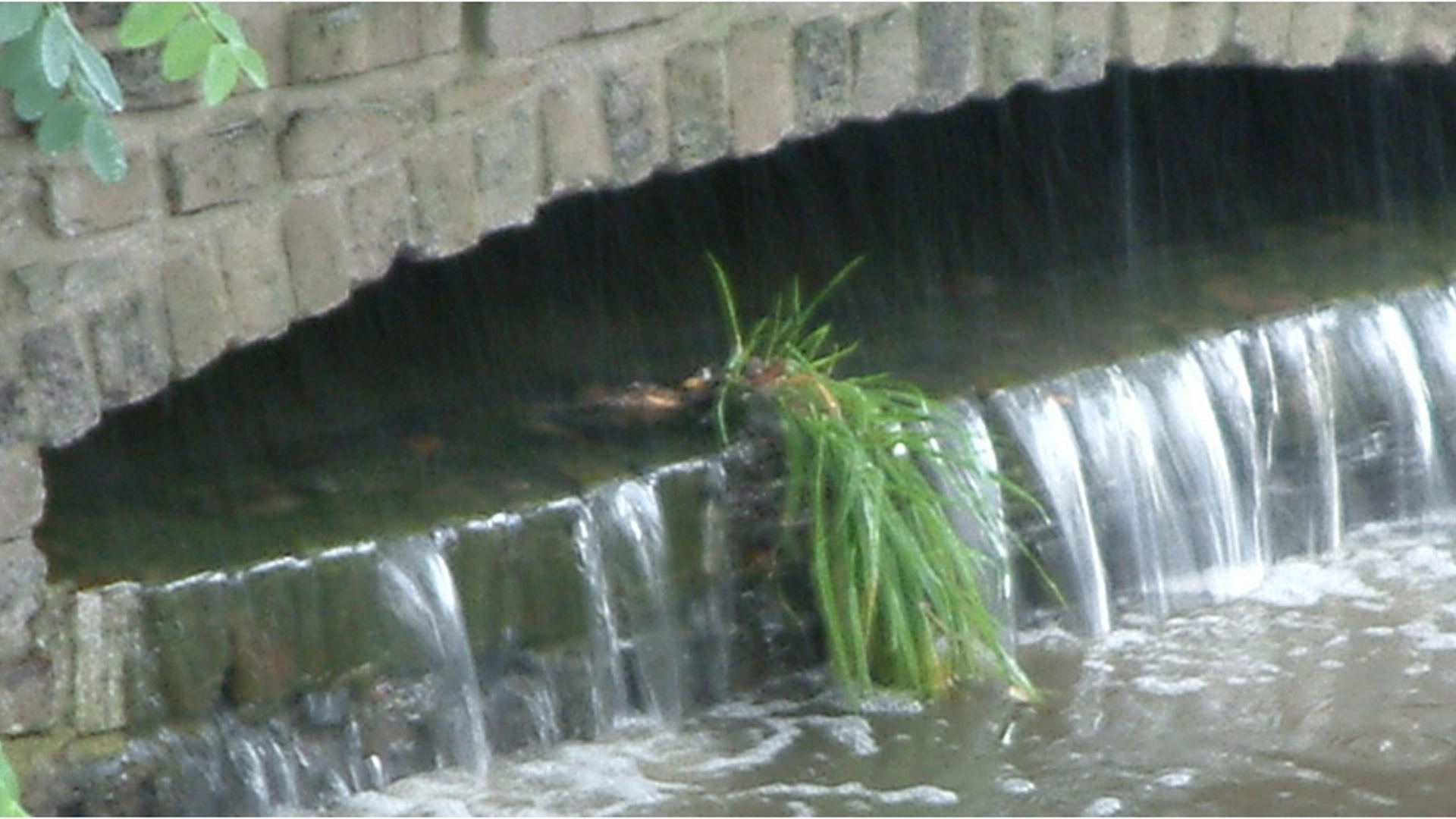 RI Kv Innovatieprijs1