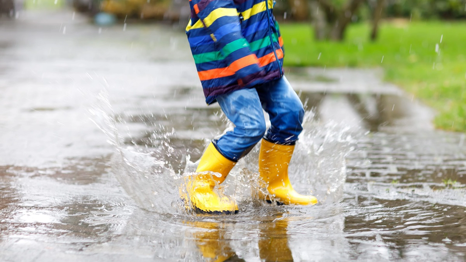 Gele Laarsjes 2019 1200Pxhp