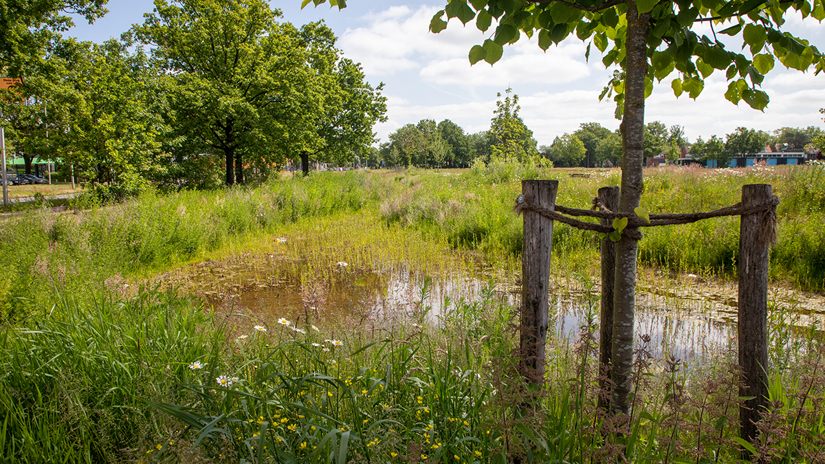Waterkwaliteit Oproep