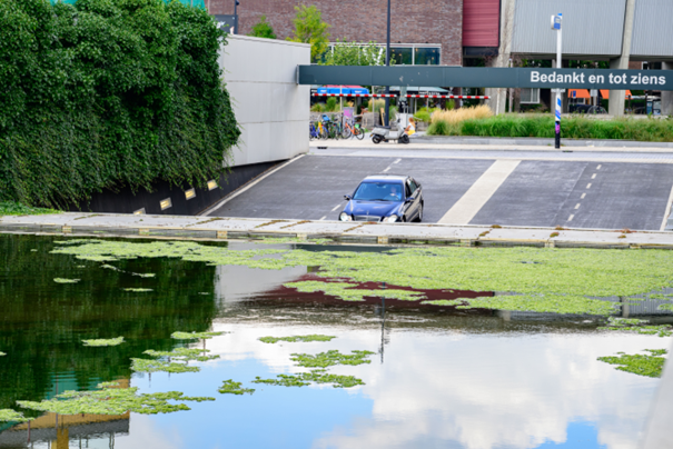 Stichtingrioned 20230823 RK 25 Fotograaf Michelle Muus