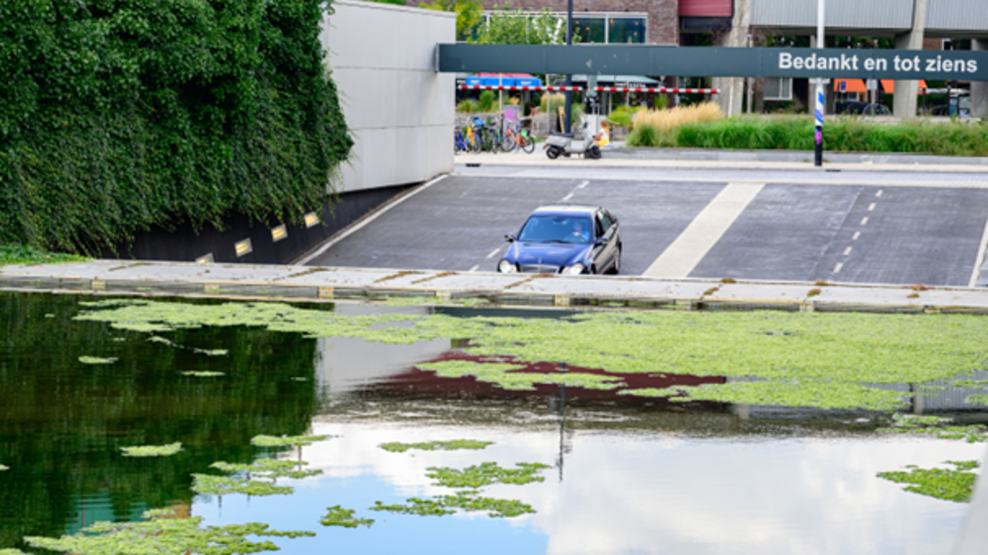 Stichtingrioned 20230823 RK 25 Fotograaf Michelle Muus