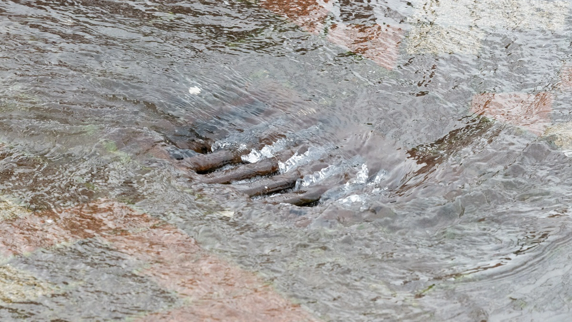 Stichtingrioned 20231220 308Mm 1200Pxhp