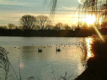 IP Iv Nat Kennisprog Water Klimaat Zonsopgang Denbosch ONK