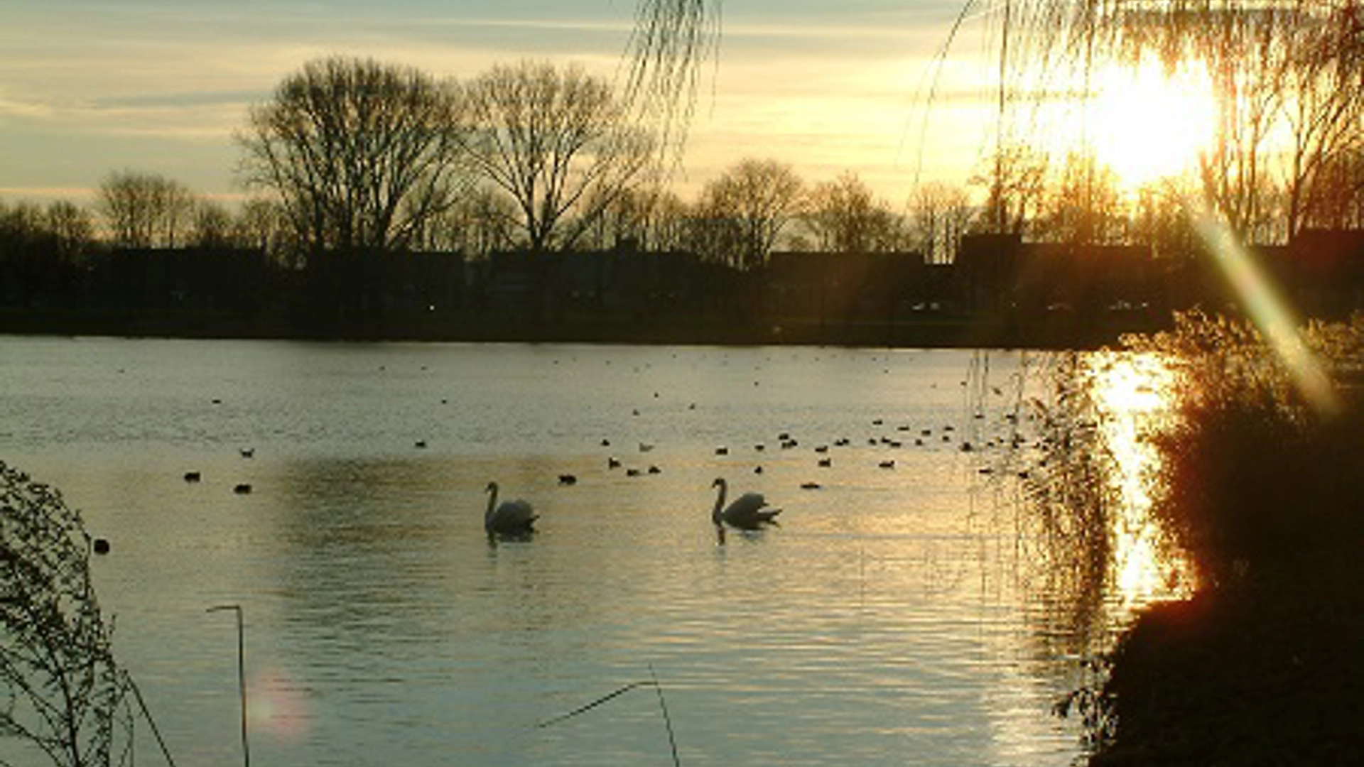 IP Iv Nat Kennisprog Water Klimaat Zonsopgang Denbosch ONK