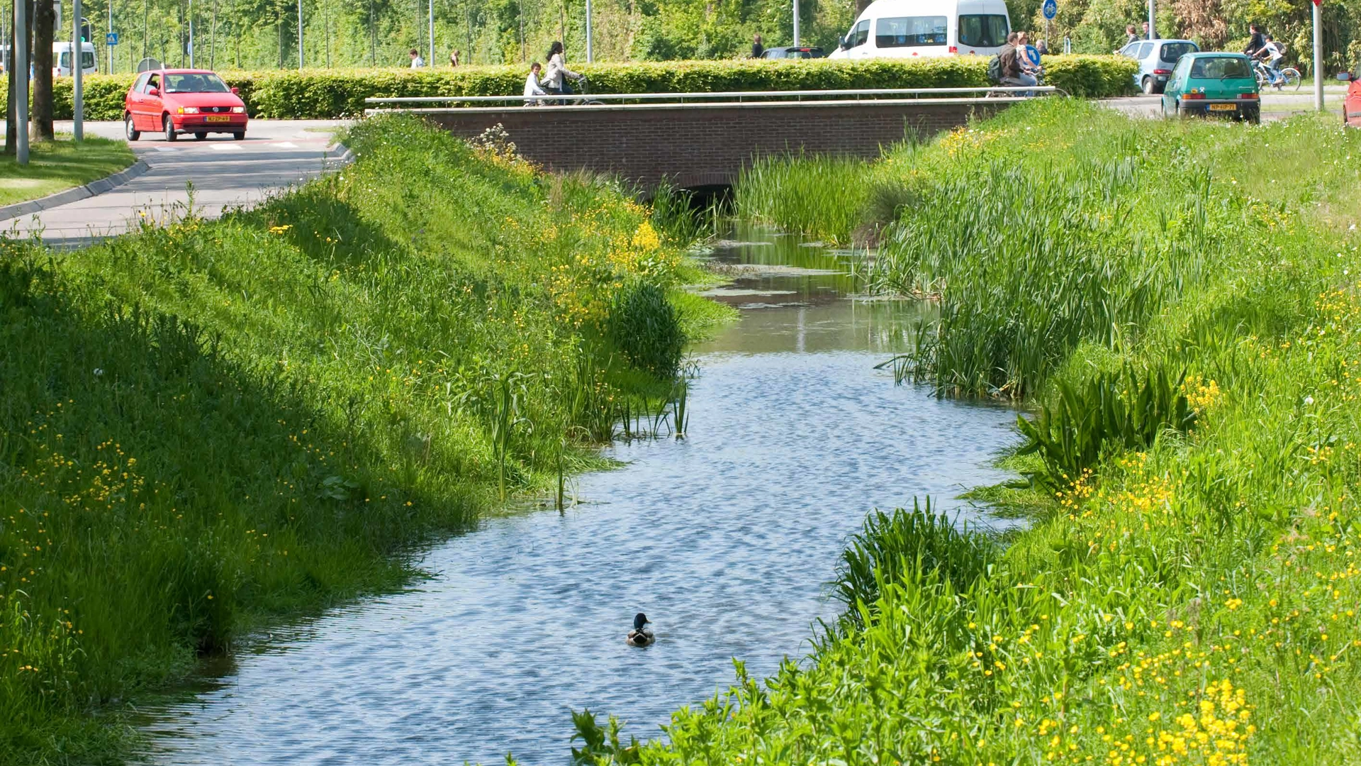 20241211 Stichting RIONED Bronnen Van Oppervlaktewaterverontreiniging Een Onderzoek Naar Verhoudingen Foto Voorkant