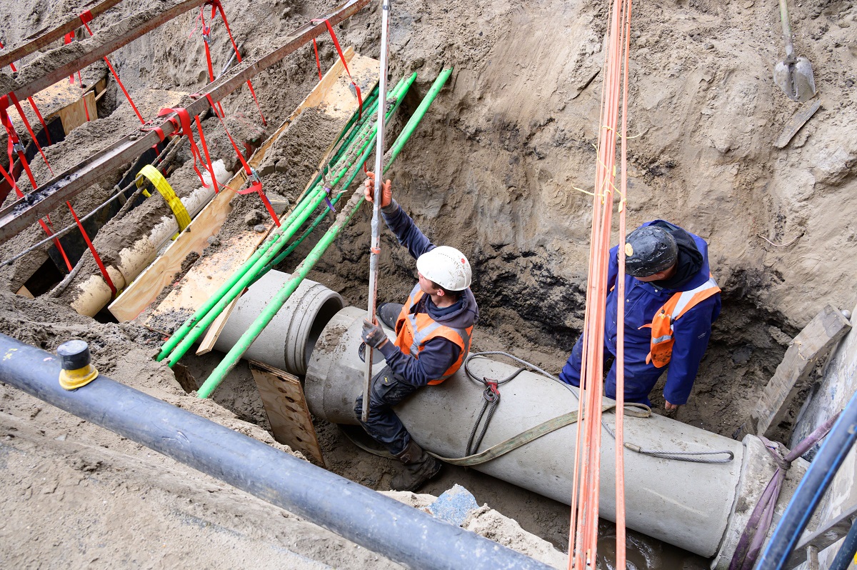 Stichtingrioned 20240503 Mk 803 1200Px